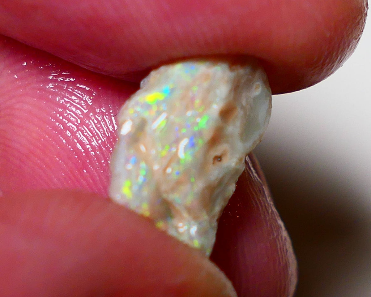 Lightning Ridge Rough Opal 4cts Light Base  Pea Knobby showing nice Bright Multicolours 13x9x6mm 0819 AUCTION