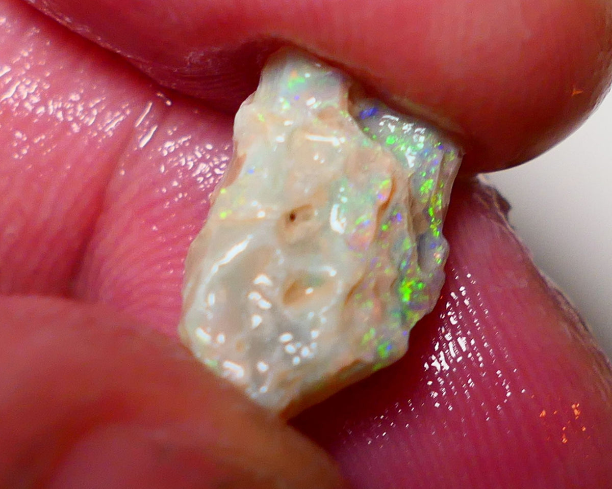 Lightning Ridge Rough Opal 4cts Light Base  Pea Knobby showing nice Bright Multicolours 13x9x6mm 0819 AUCTION