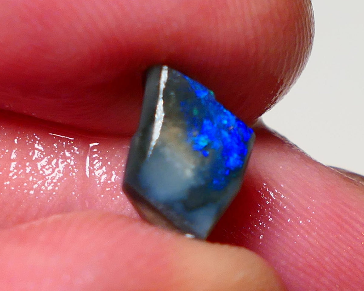 Lightning Ridge Opal Dark Base Seam Rough Rub 2.00cts Stunning Bright Blues 10x7x3mm 0910