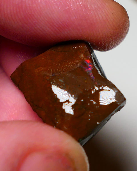 Queensland Boulder opal 45cts rough Gamble Winton  Red Flash showing :) : 20x15x15mm 0915