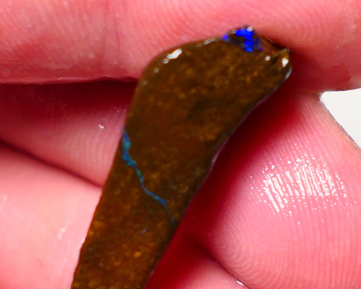 Queensland Boulder opal 18cts rough Winton  Bars to exposed with colour 30x15x6mm 0909