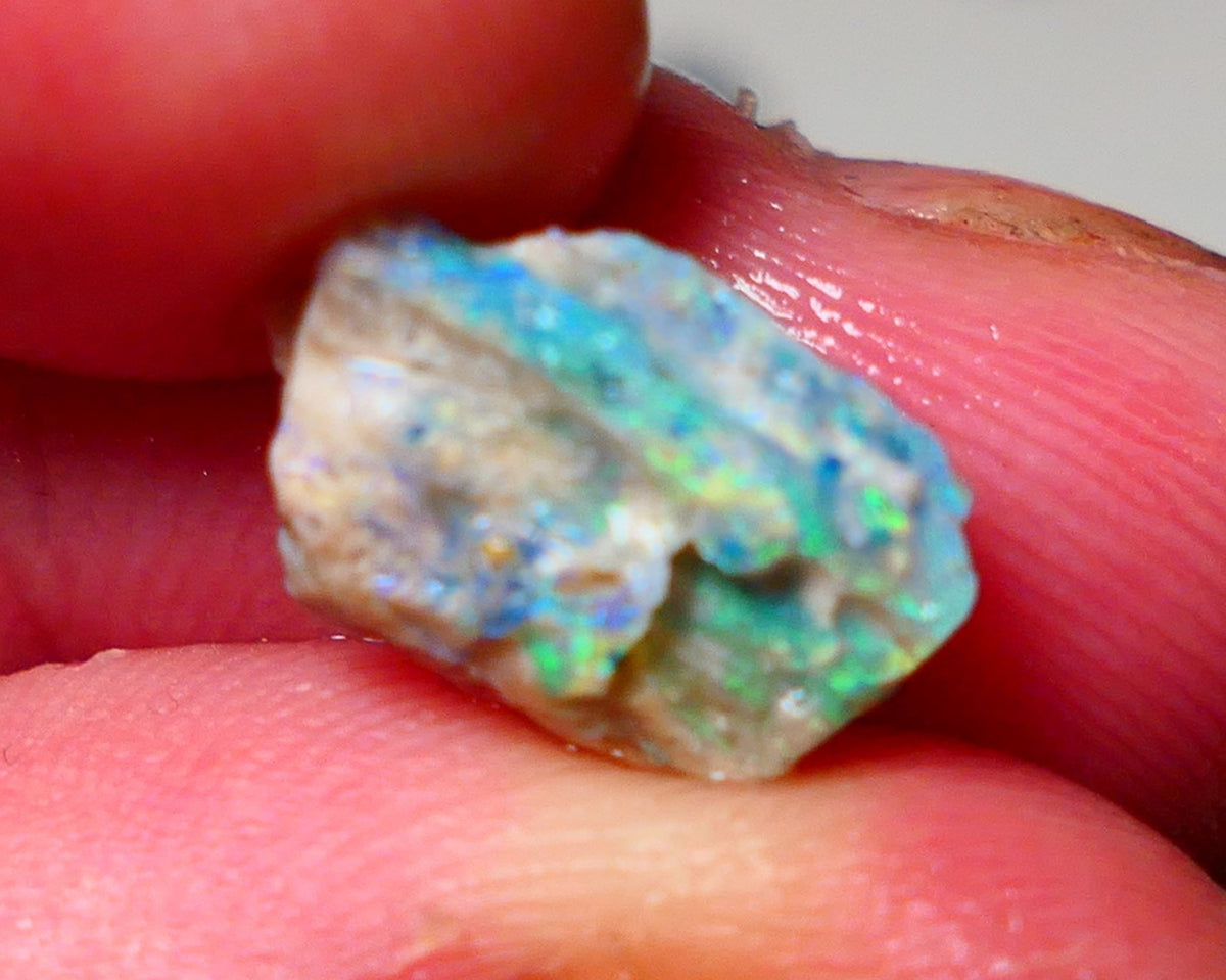 Lightning Ridge Opal Rough nice Opalised Wood Fossil 3.35cts Nice Multi Colours 12x8x6mm 0917