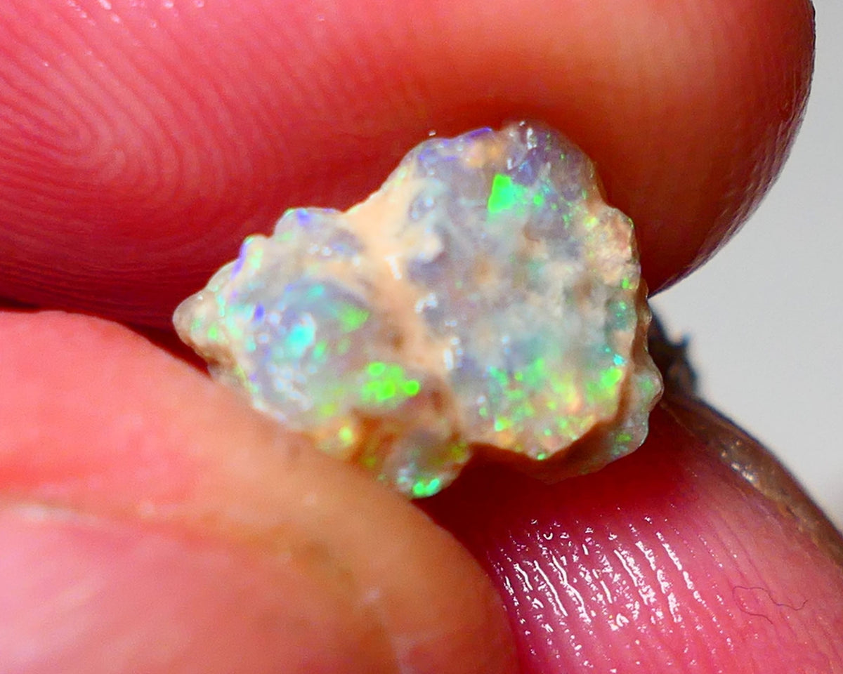 Lightning Ridge Rough Opal 2.00cts Dark Crystal Base Pea Knobby showing nice Bright Multi colours 10x8x5mm 0919