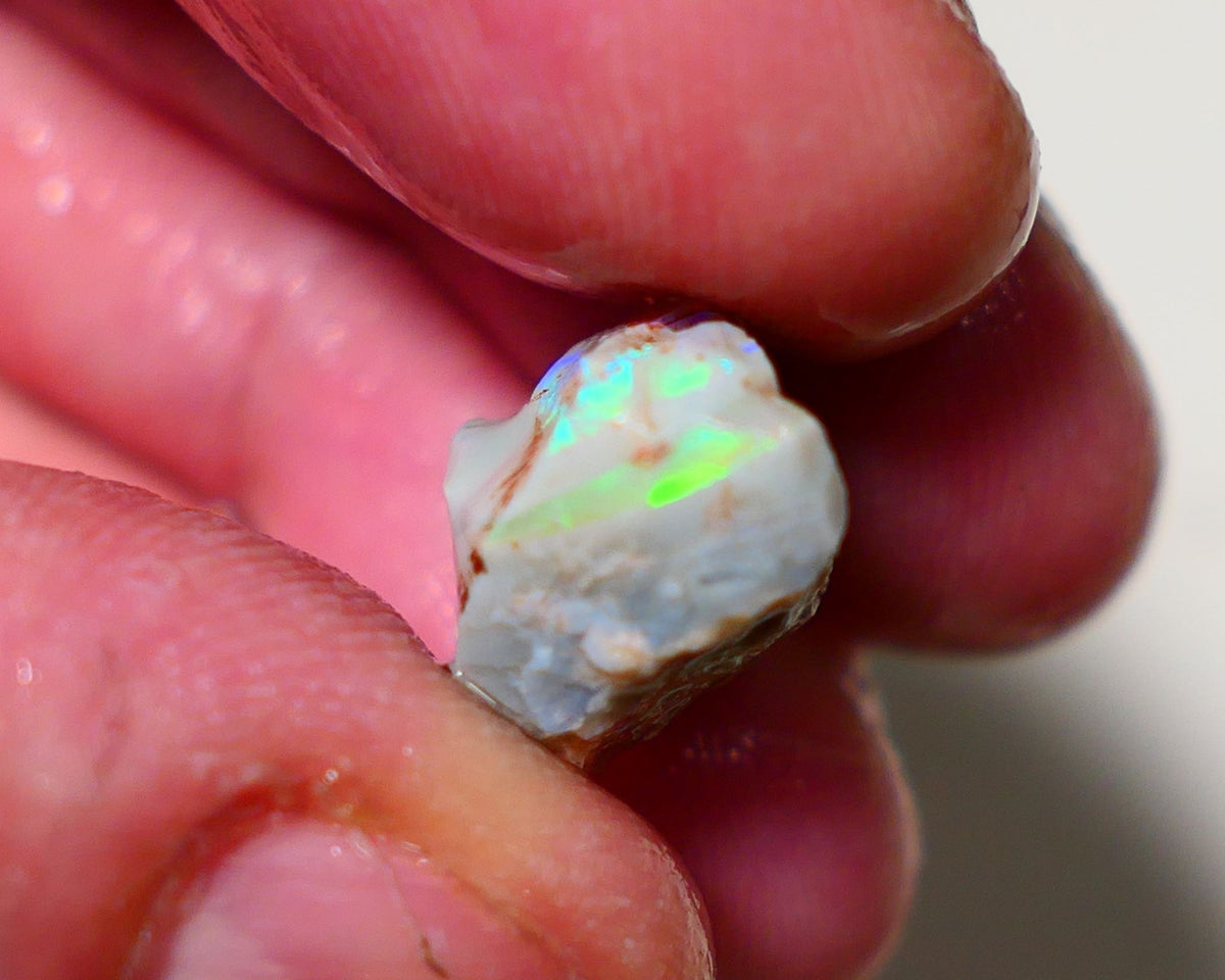 Lightning Ridge Rough Opal 12cts Grey base Seam opal with Bright colourful bar showing multicolours 19x11x10mm A1519