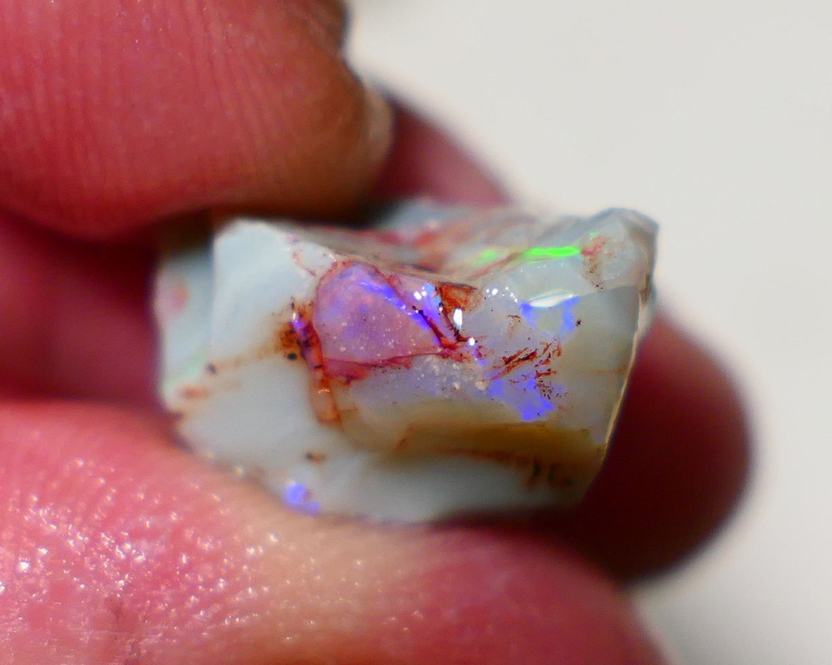 Lightning Ridge Rough Opal 12cts Grey base Seam opal with Bright colourful bar showing multicolours 19x11x10mm A1519