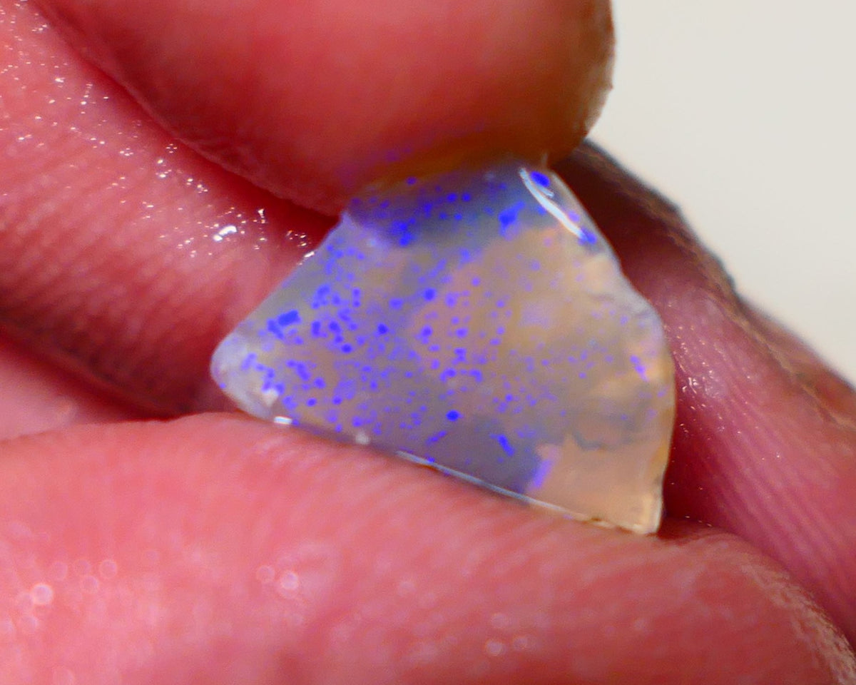 Lightning Ridge Opal Dark Crystal Base Seam Rough Rub 3.2cts Gorgeous Stunning Bright fires 14x12x4mm 1111