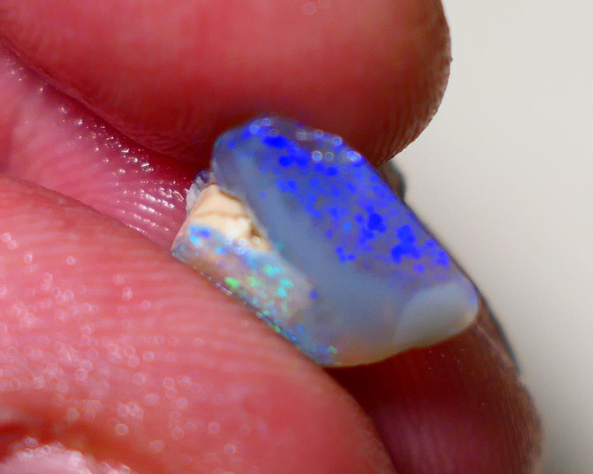 Lightning Ridge Opal Dark Crystal Base Seam Rough Rub 3.2cts Gorgeous Stunning Bright fires 14x12x4mm 1111