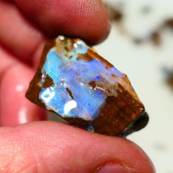 Queensland Boulder Boulder opal 63cts rough Winton gorgeous face with some fires 32x19x15mm 2002A