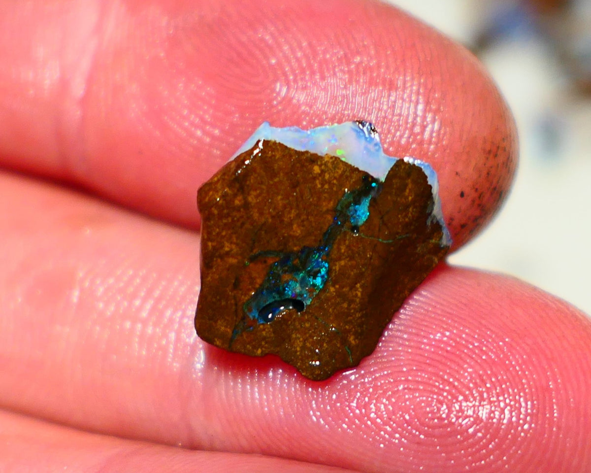 Queensland Boulder Boulder opal 6.5cts rough Winton gorgeous face with nice fires 15x14x6mm 1122