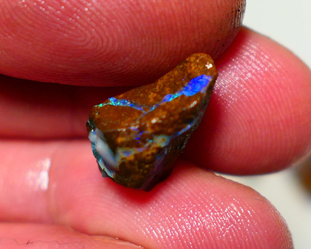 Queensland Boulder Boulder opal 7.00cts rough Winton gorgeous veins with nice fires 17x11x10mm 1123