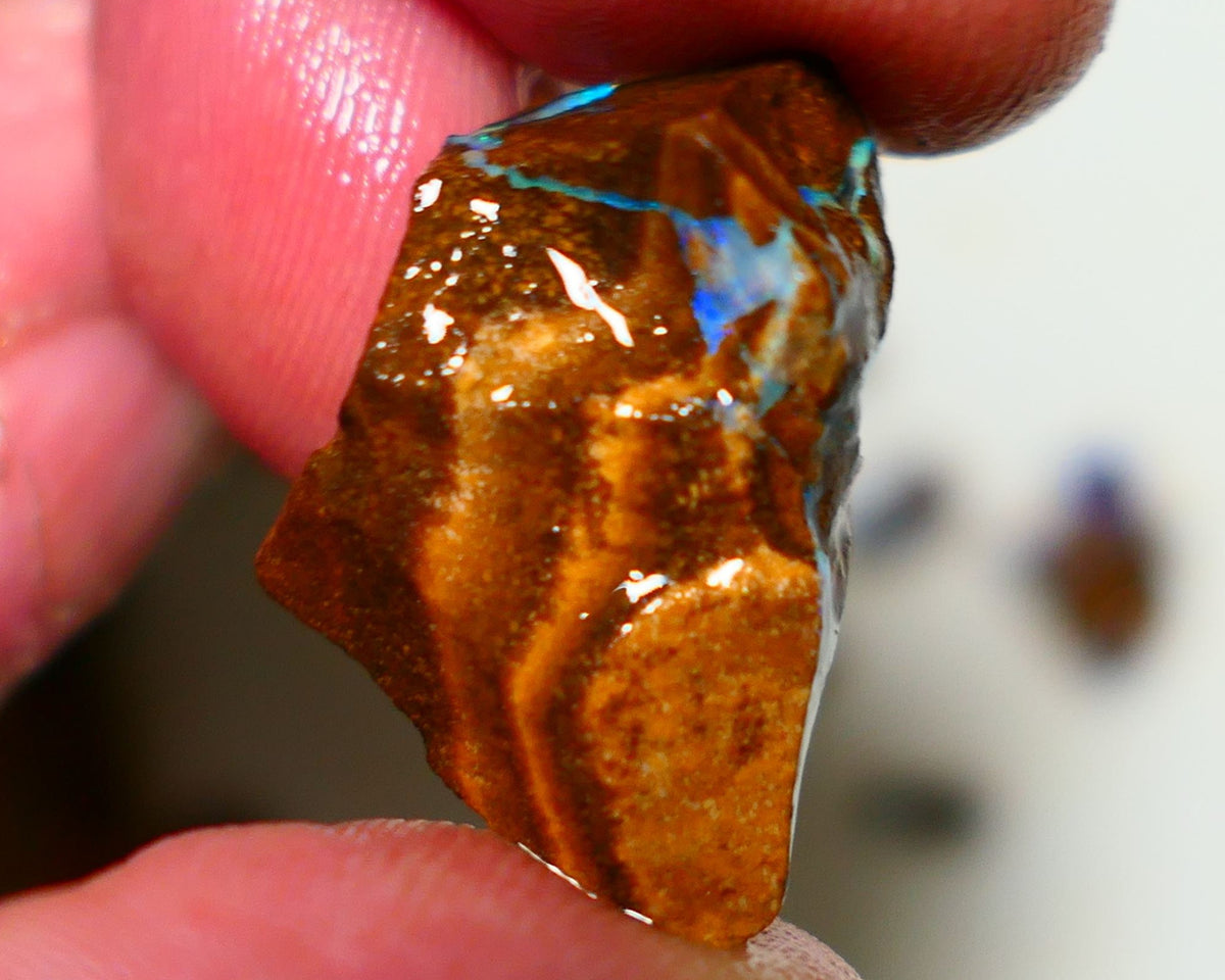 Queensland Boulder Boulder opal 21cts rough Winton gorgeous veins with nice fires 26x16x9mm 1124