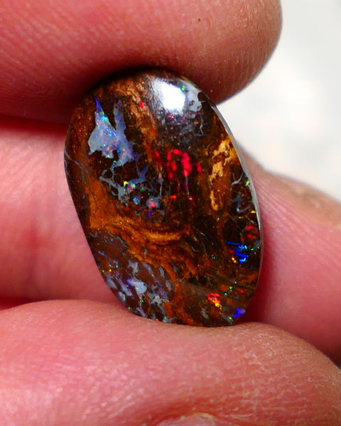 Australian Queensland Boulder Matrix opal Polished Gemstone 7.00cts Red Alert gorgeous Bright Multifires 18x11.5x4mm BO016