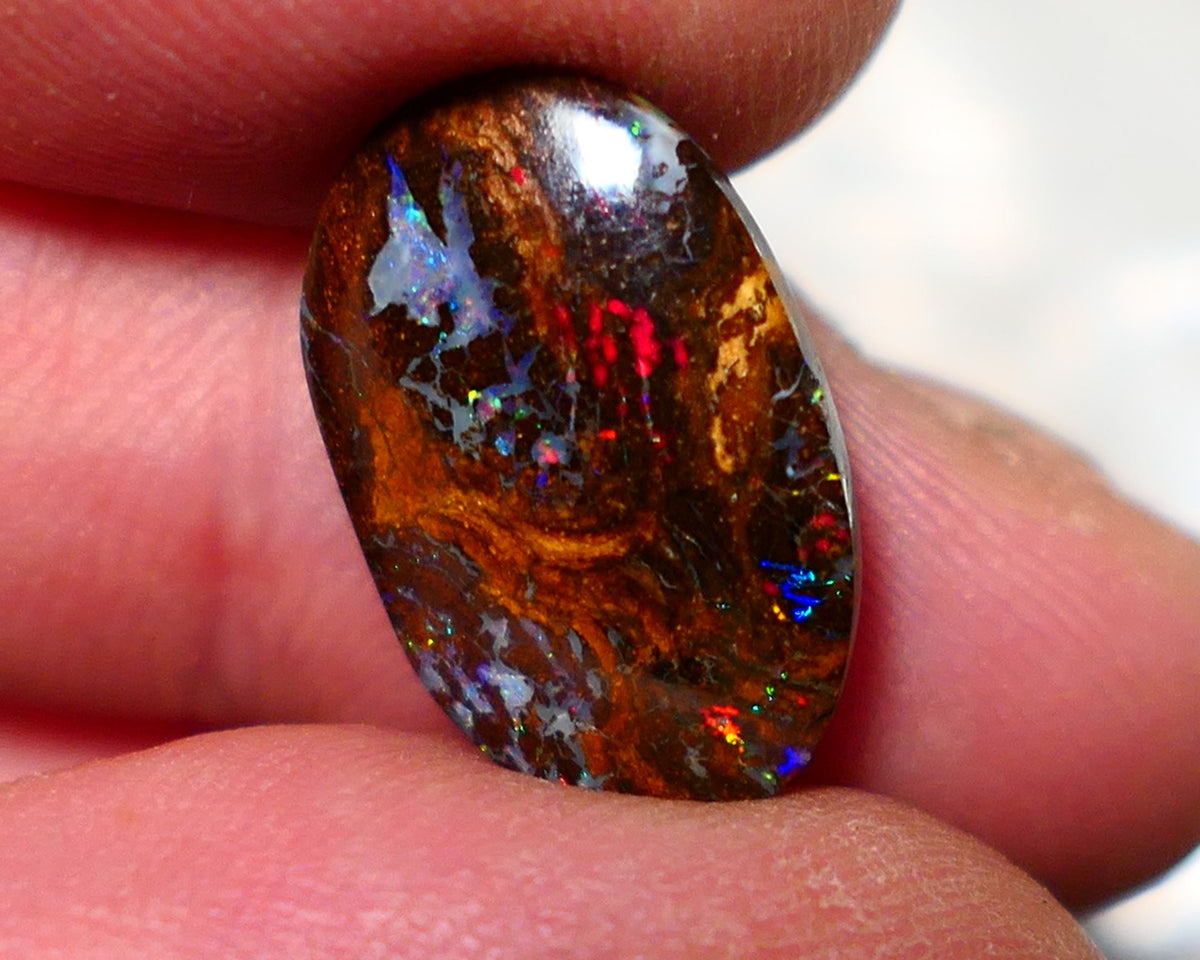 Australian Queensland Boulder Matrix opal Polished Gemstone 7.00cts Red Alert gorgeous Bright Multifires 18x11.5x4mm BO016