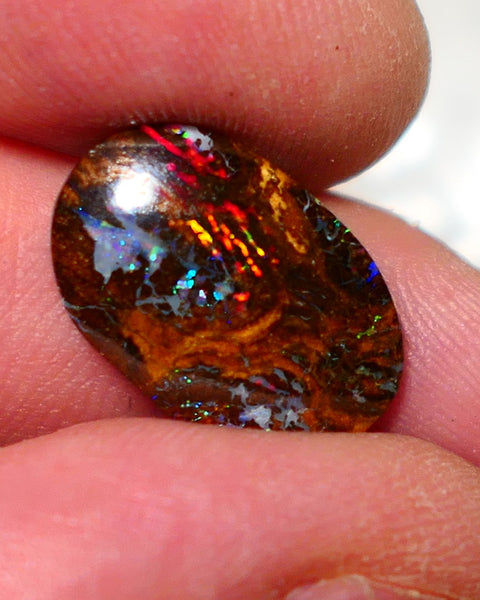 Australian Queensland Boulder Matrix opal Polished Gemstone 7.00cts Red Alert gorgeous Bright Multifires 18x11.5x4mm BO016