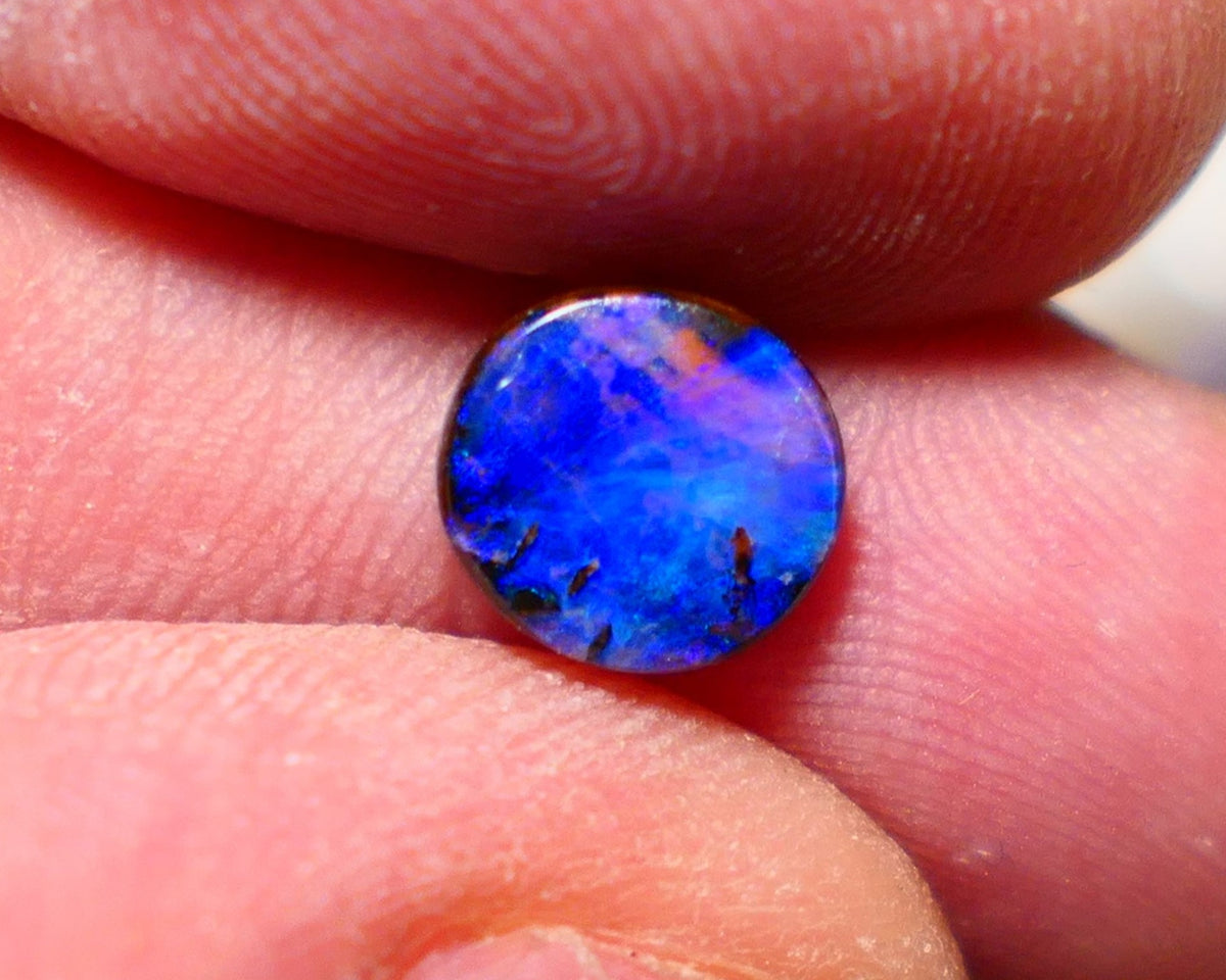 Australian Queensland Boulder opal Polished Gemstone 1.75cts Bright gorgeous blue fires with red fire flash From Winton 8.5x8.2x2.6mm BO018