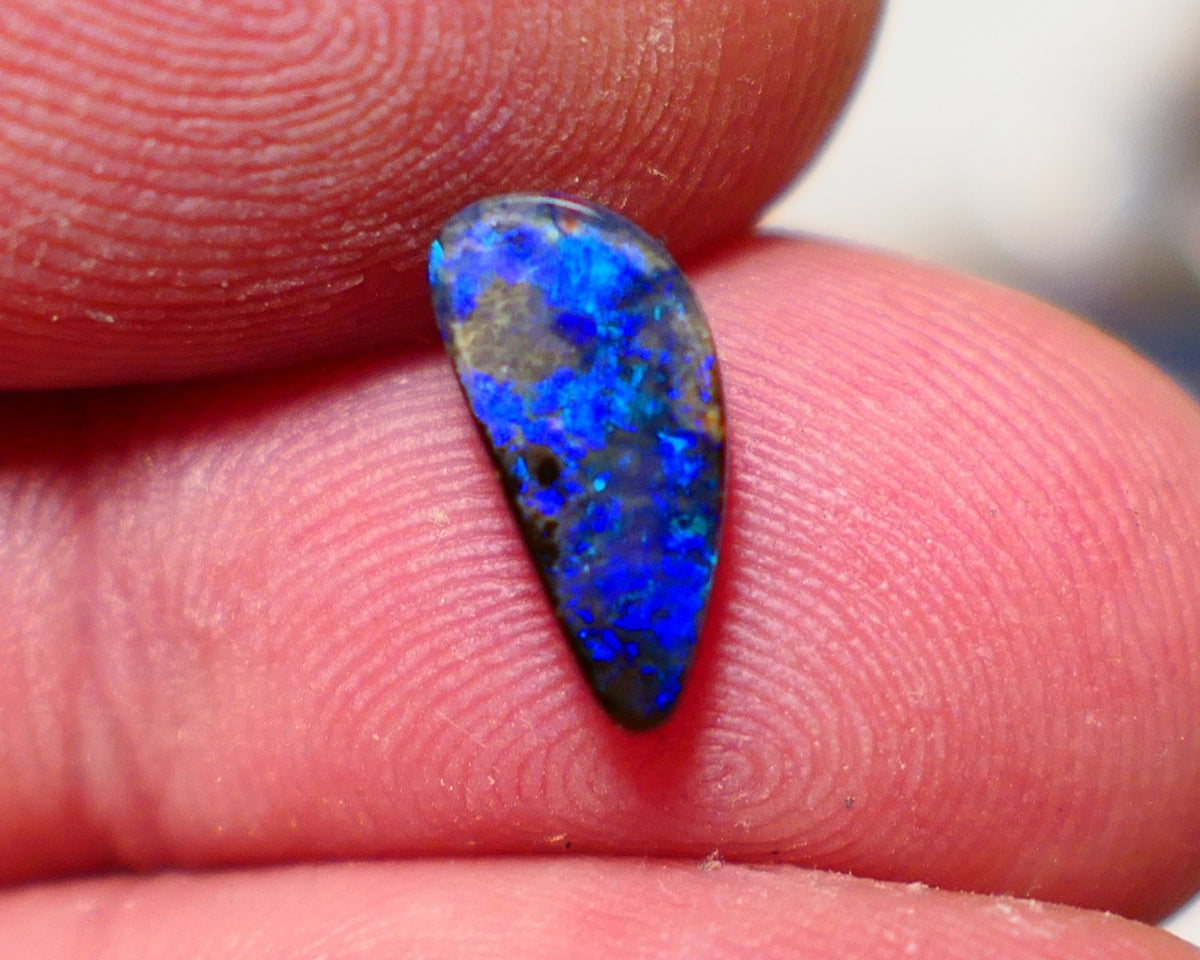 Australian Queensland Boulder opal Polished Gemstone 1.40cts Freeform cut Bright gorgeous blue fires From Winton  11x5x2.5mm A1518