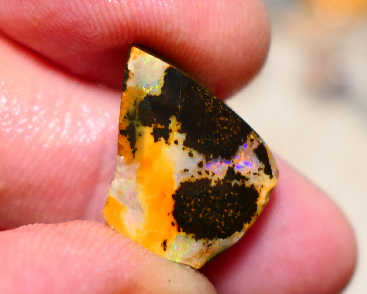 Queensland Boulder Boulder opal 12.40cts rough rub nice face with some multifires 19x14x5mm BO004