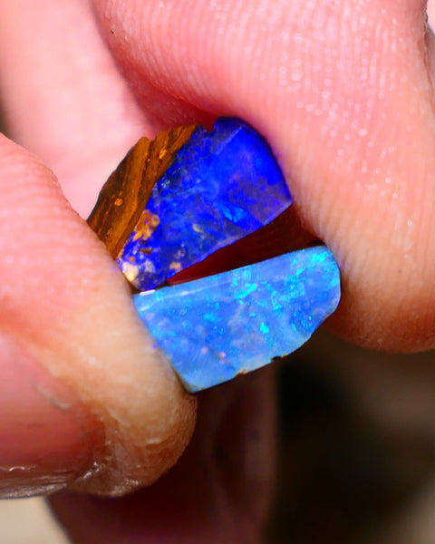 Queensland Boulder opal small pair 6.35cts rough rubs Winton gorgeous faces with Bright fires 13x8x5mm & 10x5x4mm BO-002