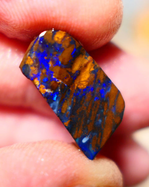 Queensland Boulder Boulder opal 15cts rough Winton gorgeous veins lots nice Bright Blue fires 18x10x7mm BO001