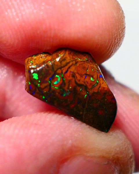 Queensland Boulder Matrix opal 3.60cts rough/rub Winton Bling Gem Bright exotic Oranges/Yellows/Lilacs 15x8x5mm BO-025