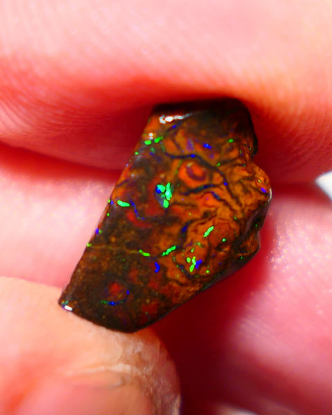 Queensland Boulder Matrix opal 3.60cts rough/rub Winton Bling Gem Bright exotic Oranges/Yellows/Lilacs 15x8x5mm BO-025