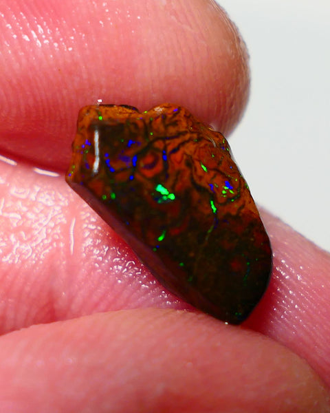 Queensland Boulder Matrix opal 3.60cts rough/rub Winton Bling Gem Bright exotic Oranges/Yellows/Lilacs 15x8x5mm BO-025