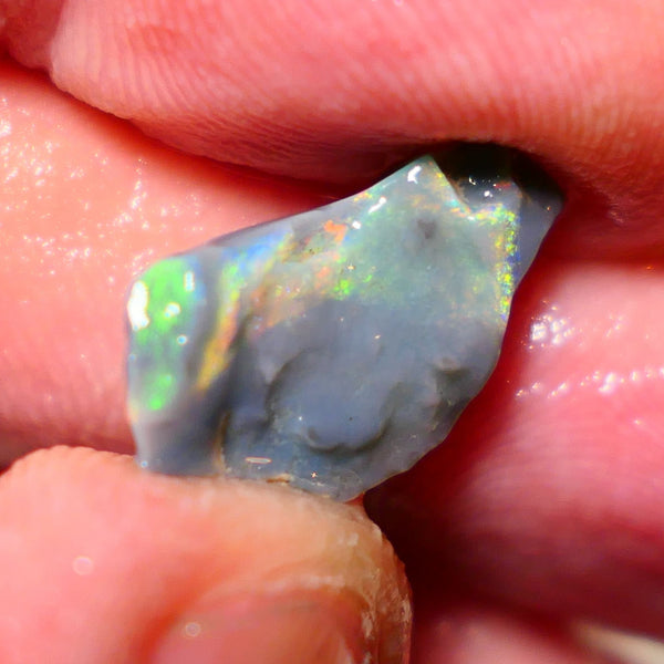 Mulga Rough Opal 3.65cts Stunning Dark Base Seam Bright Orange Dominant Multi colour fires to Cut / carve & polish 11x10x2.5mm 1138