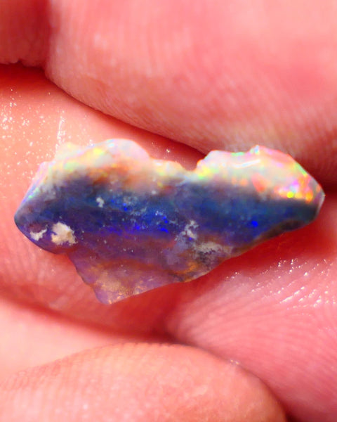 Mulga Rough Opal 2.35cts Stunning Dark Base Seam Orange Blue Dominant Multi colour fires to Cut / carve & polish 18x10x2mm 1142