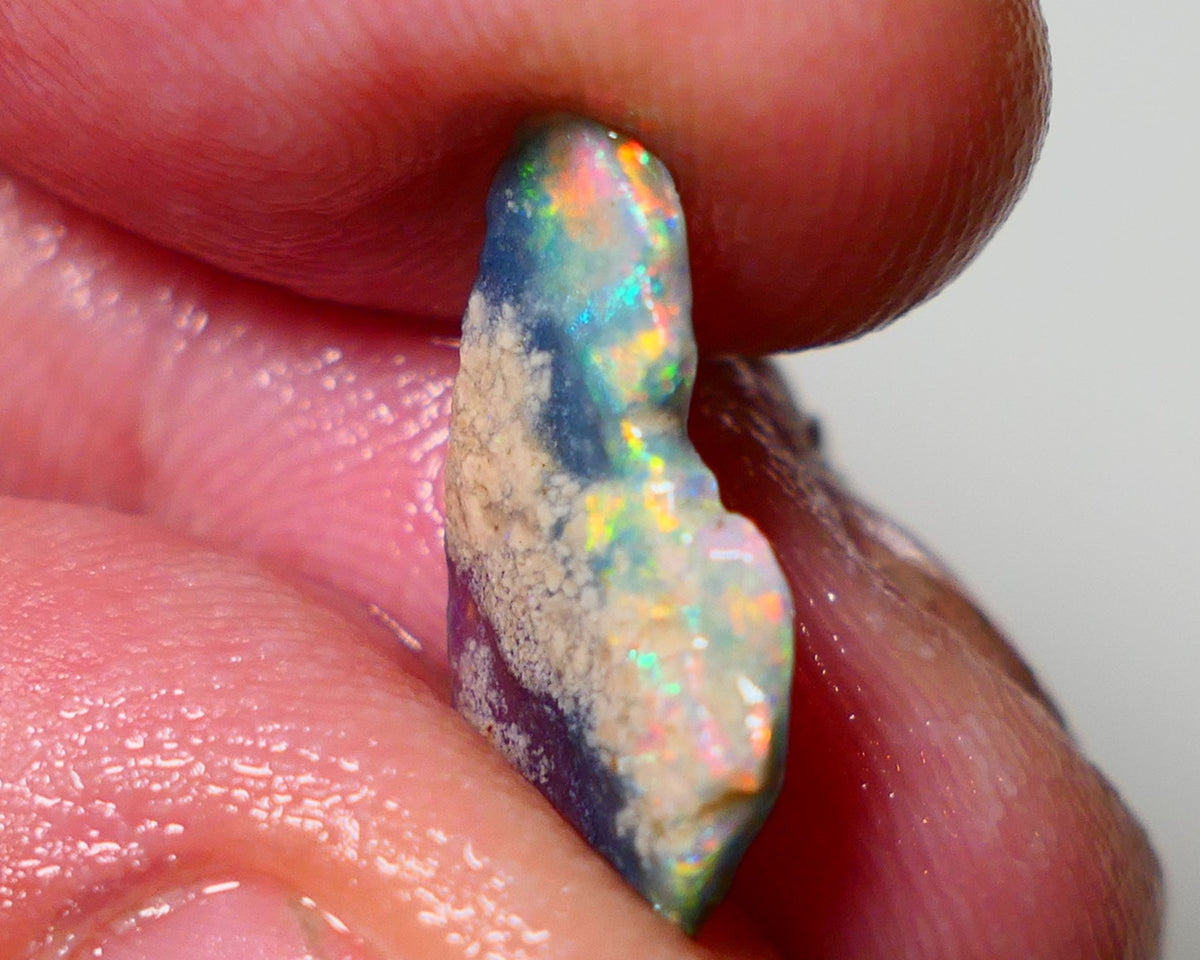 Mulga Rough Opal 2.35cts Stunning Dark Base Seam Orange Blue Dominant Multi colour fires to Cut / carve & polish 18x10x2mm 1142