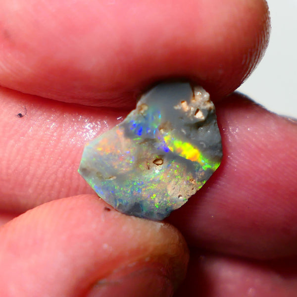 Mulga Rough rub Opal 1.55cts Stunning Dark Base Seam Band of gorgeous Bright & vibrant Multi colour fires to Cut / carve & polish 13x10x2mm 1139