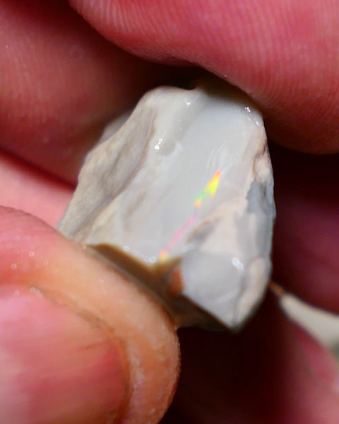 Lightning Ridge Rough Opal 23cts Gamble Big Dark Base seam showing Yellow/orange/blue scattered bar 27x16x10mm 1147