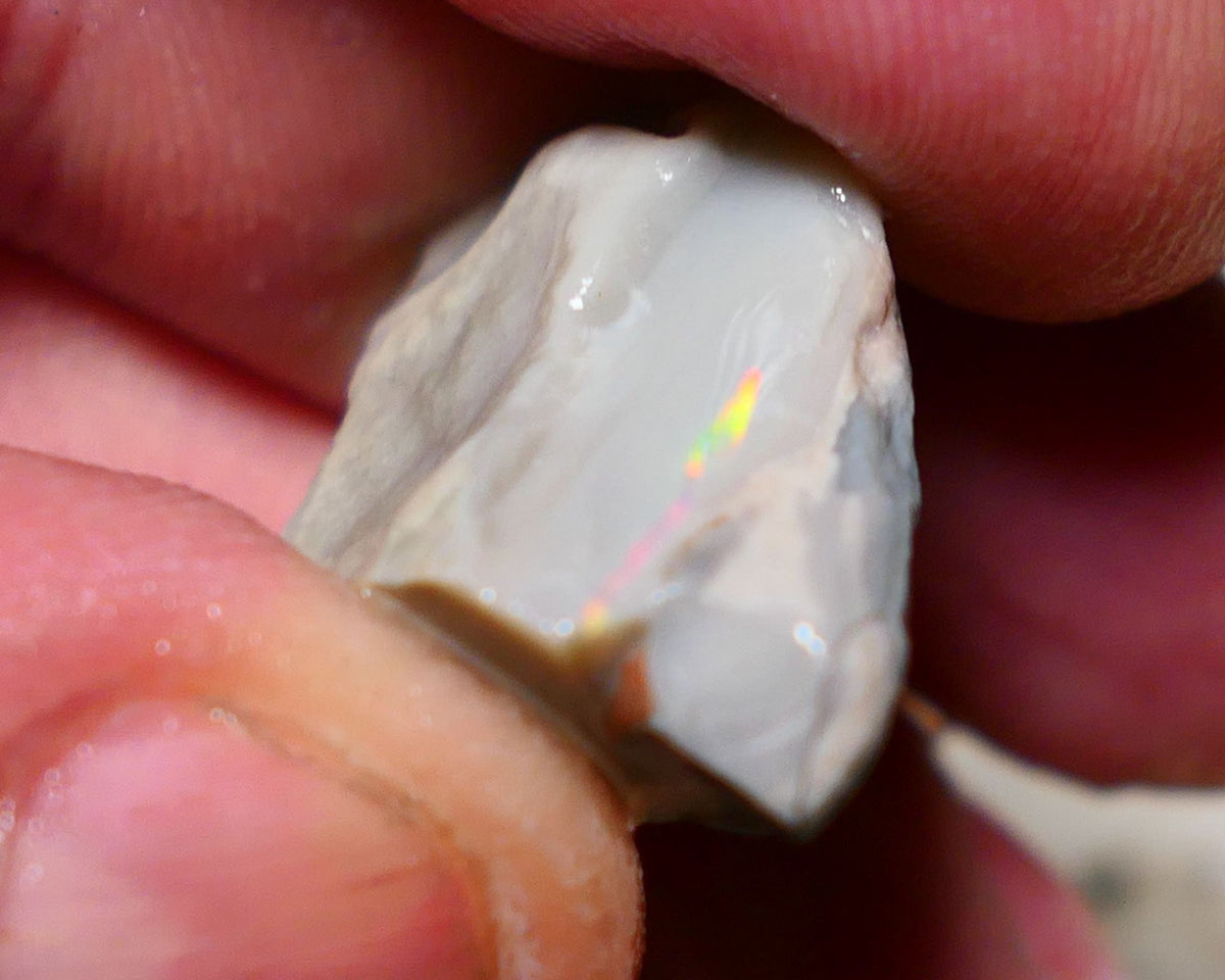 Lightning Ridge Rough Opal 23cts Gamble Big Dark Base seam showing Yellow/orange/blue scattered bar 27x16x10mm 1147