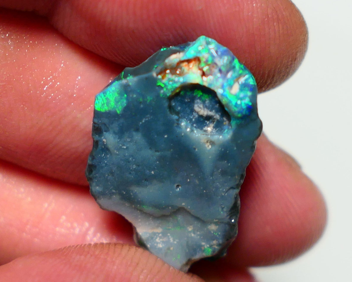 Lightning Ridge Black Rough Opal 10cts Gamble showing some Bright Green & blue fires 24x15x4mm 1330