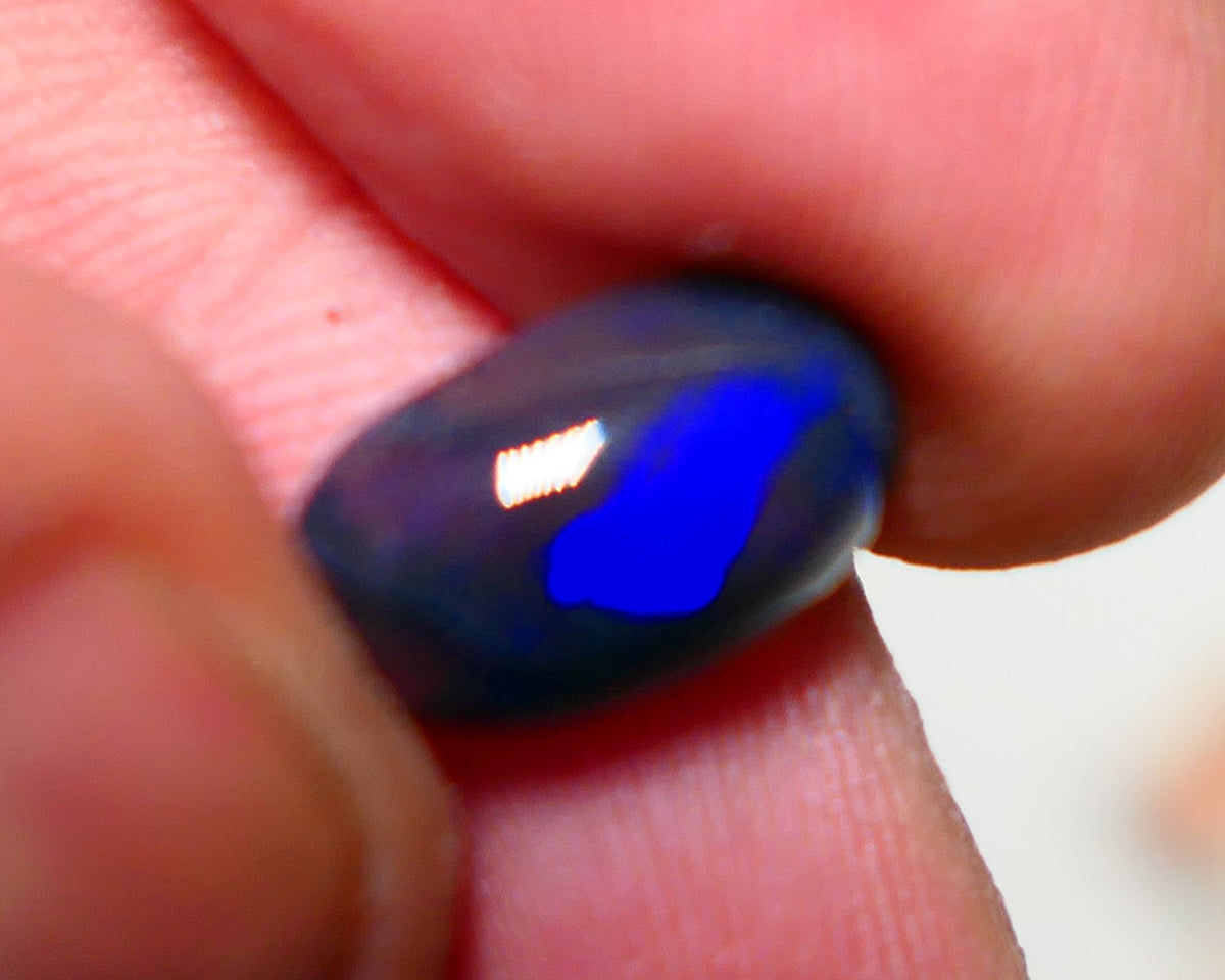 OPALFEVERMATE.COM December 2024 Customer Raffle Prize #1 - Free Entry with Every Order! Lightning Ridge Black opal  2.00cts GEM Grade N5 Body Tone B3 Brightness  Rolling Flash Royal Blues in various patterns 12.2x7.3x3.8mm 1327