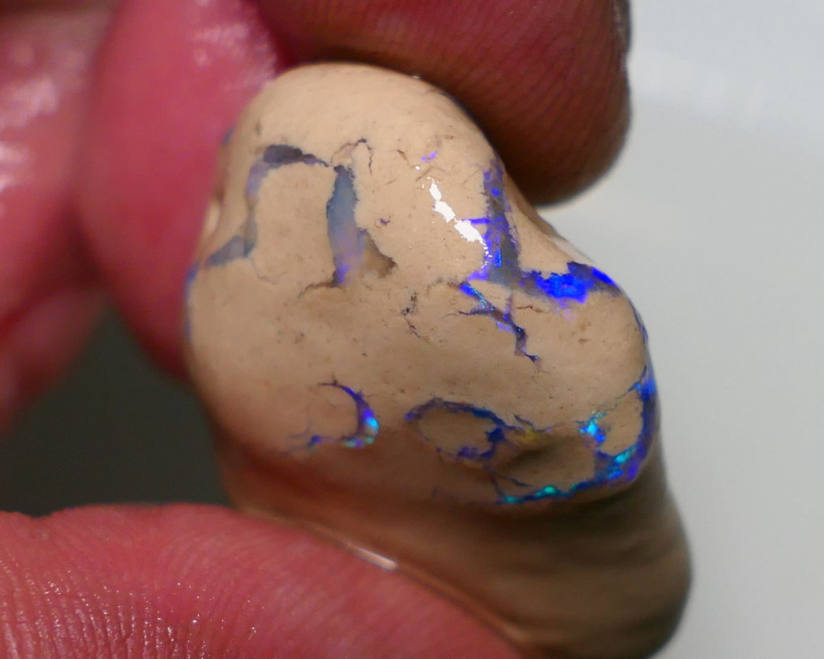 Lightning Ridge Rough Opal 58cts Formation showing Exotic Very Bright Blues 32x24x14mm 1203