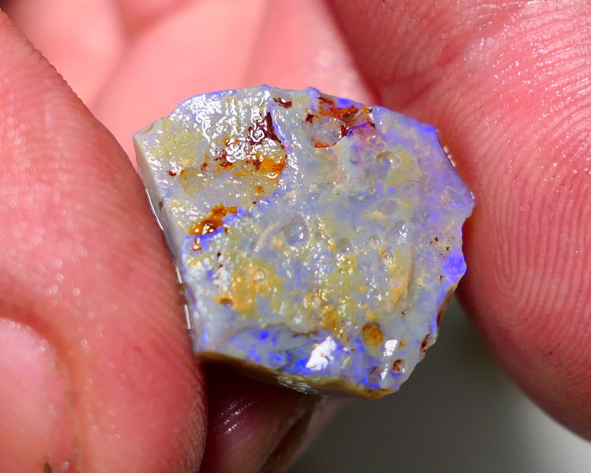 Lightning Ridge Rough Opal 10.75cts Dark Crystal Seam showing lots Blue colours 17x20x4.2mm 1308