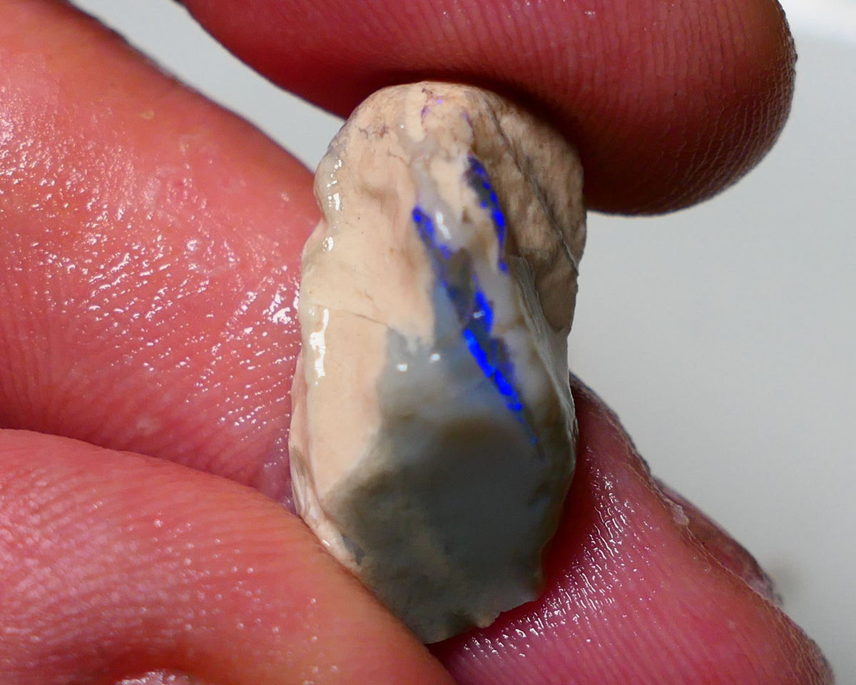 Lightning Ridge Rough Opal 12.75cts Half a knobby showing bright Blues 24x12x10mm 1310