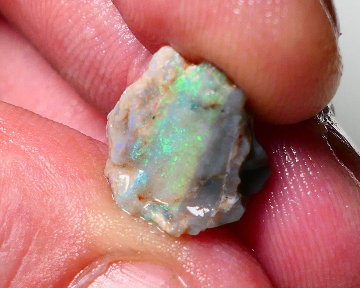 Lightning Ridge Opal Rough nice Opalised Wood Fossil 5.00cts Nice multi colours 13x13x10mm 1303