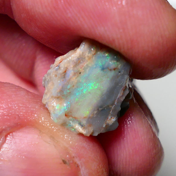 Lightning Ridge Opal Rough nice Opalised Wood Fossil 5.00cts Nice multi colours 13x13x10mm 1303