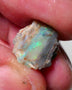 Lightning Ridge Opal Rough nice Opalised Wood Fossil 5.00cts Nice multi colours 13x13x10mm 1303