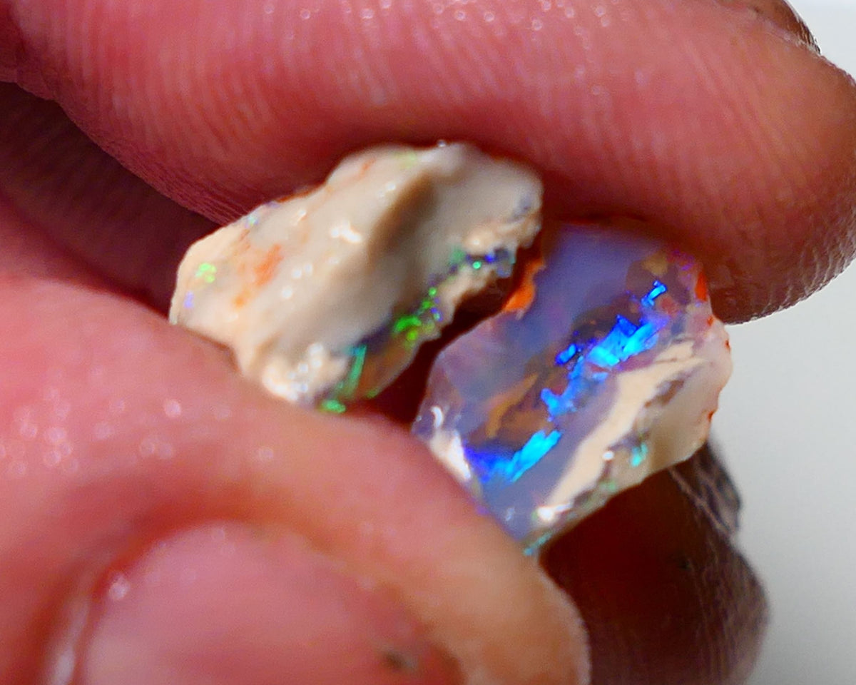 Lightning Ridge Opal pair small bits of Knobby Rough 4.25cts Stunning Bright Multi Colours 12x8x5mm & 13xx4mm 1312