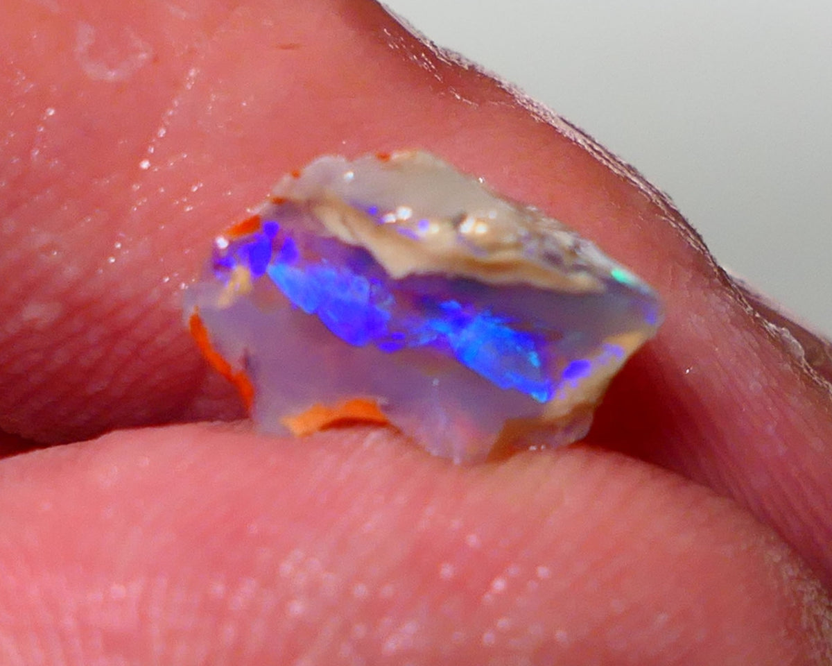 Lightning Ridge Opal pair small bits of Knobby Rough 4.25cts Stunning Bright Multi Colours 12x8x5mm & 13xx4mm 1312