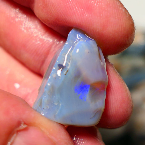 Lightning Ridge Rough Opal 23cts Seam showing some blues 24x16x12mm 1412