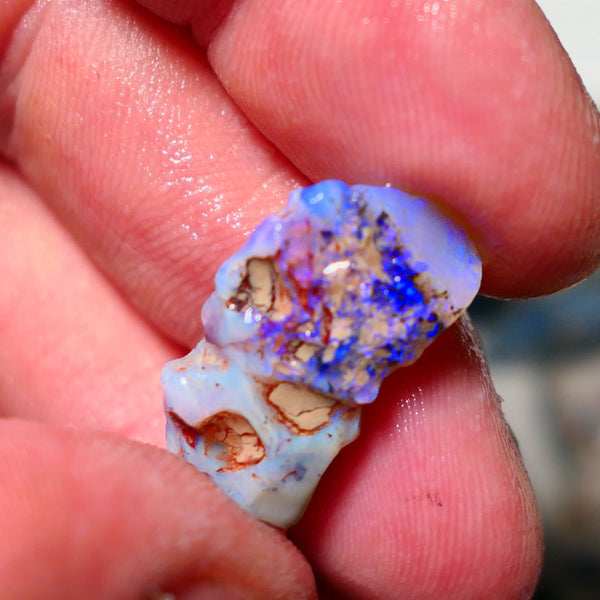 Lightning Ridge Rough Opal 9.50cts Seam showing lots of blues 23x12x6mm 1413