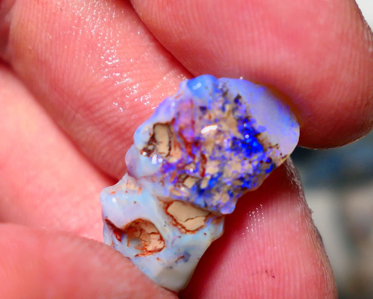 Lightning Ridge Rough Opal 9.50cts Seam showing lots of blues 23x12x6mm 1413