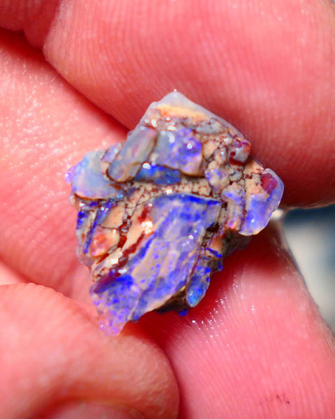 Lightning Ridge Untouched Opalised fossil rough 4cts Bright colourful 15x13x5mm A1510