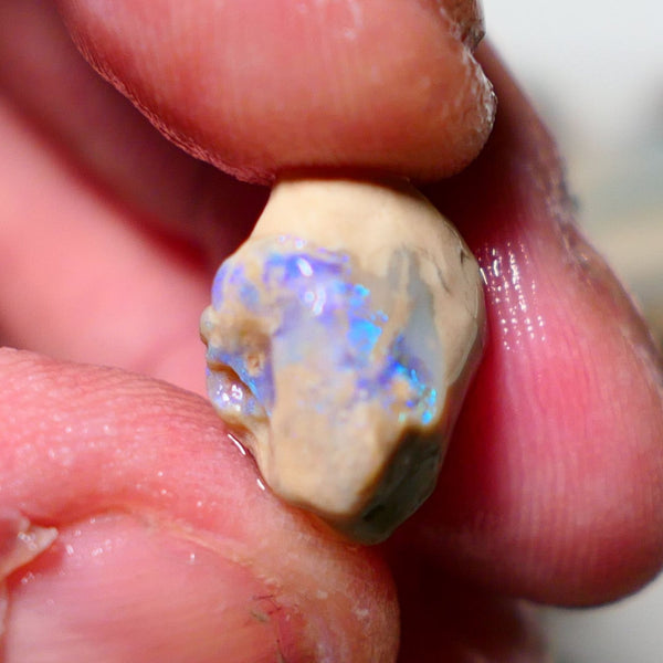 Lightning Ridge Rough Opal  8cts Knobby formation with Band of crystal opal with light blues 15x14x9mm 1414