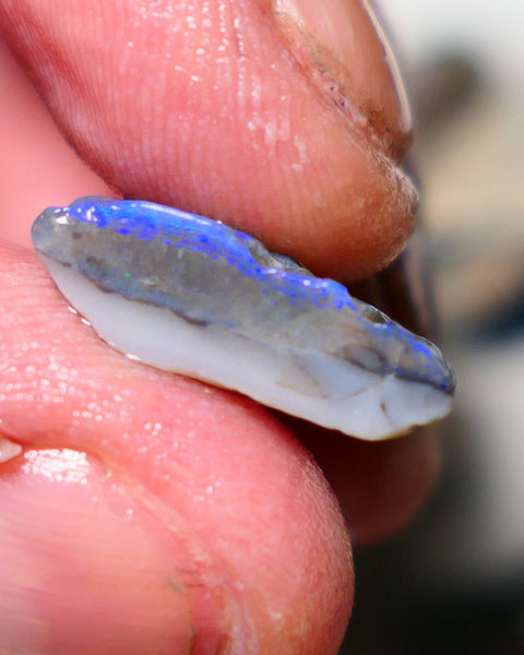 Lightning Ridge Rough Opal 8.75cts Half a dark base knobby opal showing lots blues colours 19x13x6mm 1407