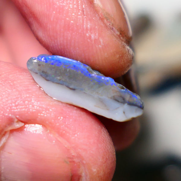 Lightning Ridge Rough Opal 8.75cts Half a dark base knobby opal showing lots blues colours 19x13x6mm 1407