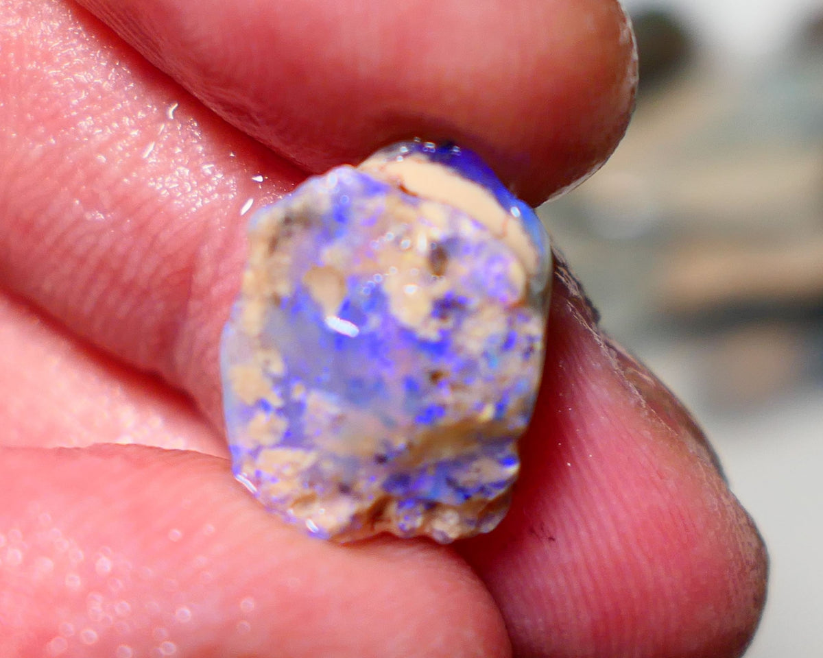 Lightning Ridge Rough Opal 6cts Crystal Seam formation showing lots of blues 15x12x6mm 1405